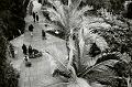 Palm House, Kew Gardens, London 12330017